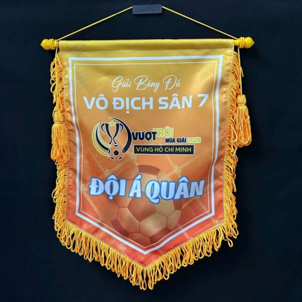 Cờ lưu niệm đá bóng nội dung vô địch sân 7
