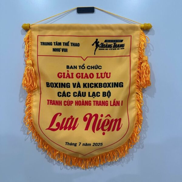 Cờ giao lưu Boxing-Kickboxing