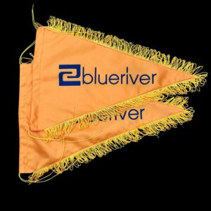 Cờ tam giác dẫn đoàn