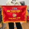 Cờ hội thao học sinh-sinh viên