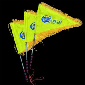 Cờ tour du lịch dẫn đoàn du lịch theo yêu cầu